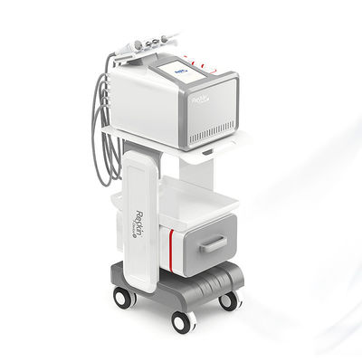 kopen Draagbare 5 In 1 Hydro Dermabrasie Gezichtsmachine Met 10,4 inch Scherm online vervaardiging