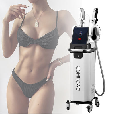 kopen 4 Handvatten EMS Spierstimulatie Sculpting Machine EMS Body Slim EMS Spier Vormende Stimulator RF Body Sculpting Machine voor Gewichtsverlies online vervaardiging