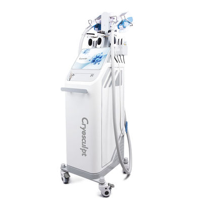 360° Cryolipolyse Vetvriezen CoolSculpting Body Slimming Weight Loss Machine